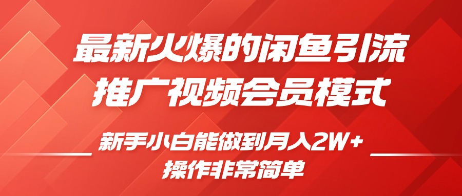 闲鱼引流推广影视会员，0成本就可以操作，新手小白月入过W+【揭秘】-世纪学社